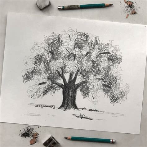Sketch of Trees - 9634W Mural – Scandinavian Wallpaper - muktibox.com