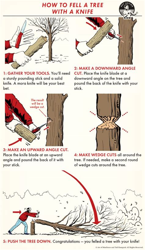 Skill of the Week: Fell a Tree - The Art of Manliness - balustradellc