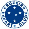 Skor langsung Cruzeiro, hasil pertandingan, jadwal pertandingan ... - balustradellc