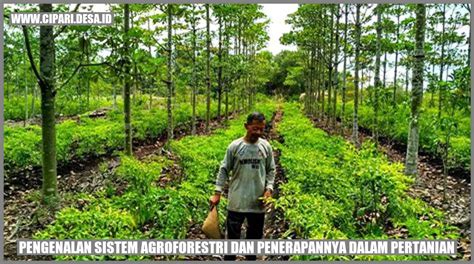 SKRIPSI PENGARUH SISTEM AGROFORESTRI DALAM … - raincitystudios.com