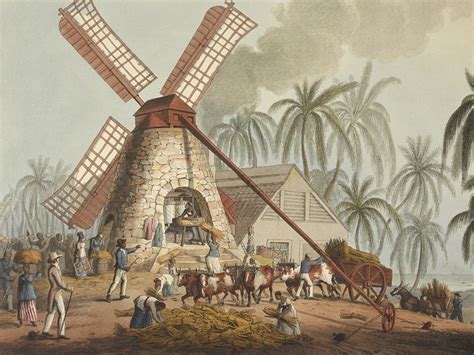 Slavery, Exploitation, and Trade in the West Indies, … - balustradellc