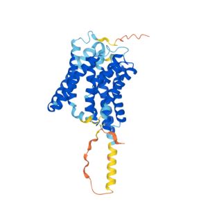 SLC10A1 Gene - GeneCards NTCP Protein NTCP …