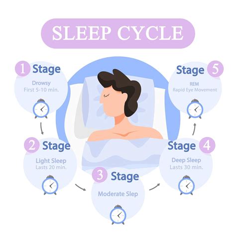 Sleep Cycles and Health: Role of Sleep Stages, … - balustradellc