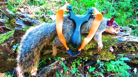 Slingshot Hunting Squirrel - Cleaning\\Cooking Squirrel - balustradellc