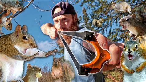 Slingshot Hunting Squirrels (Catch, Clean, Cook!) | Testing Slingshot ... - balustradellc