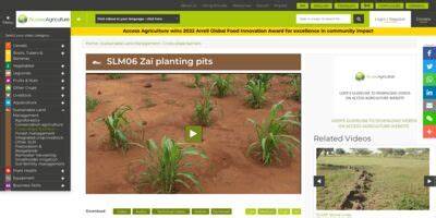 SLM06 Zaï planting pits - Access Agriculture - raincitystudios.com