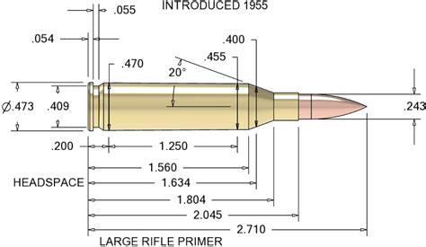 SLR922578 243. - JSTOR - coolestguyplanet.net