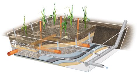 Sludge Drying Reed Beds for faecal sludge treatment - raincitystudios.com