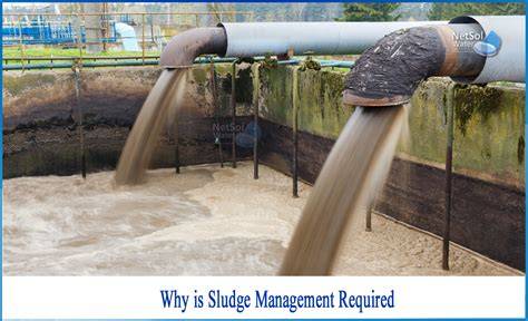 Sludge Handling in Water & Wastewater Treatment - raincitystudios.com