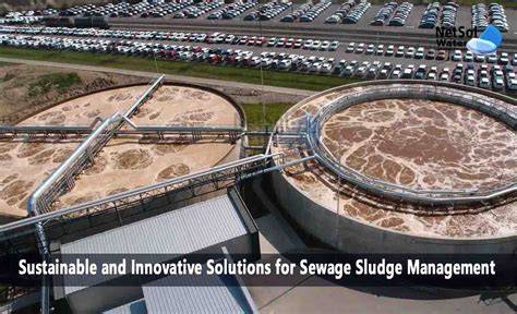 Sludge Management Crucial for Sustainable STP - raincitystudios.com