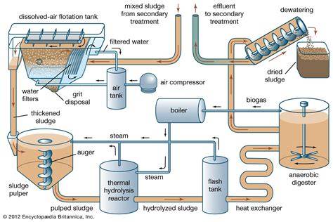 Sludge Treatment - ARM Reedbeds - raincitystudios.com