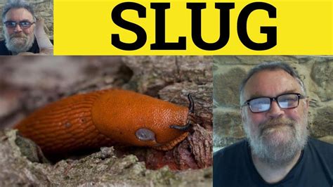 SLUGS abbreviations & acronyms