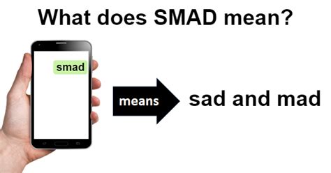 SMAD Meanings What Does SMAD Stand For? - All Acronyms