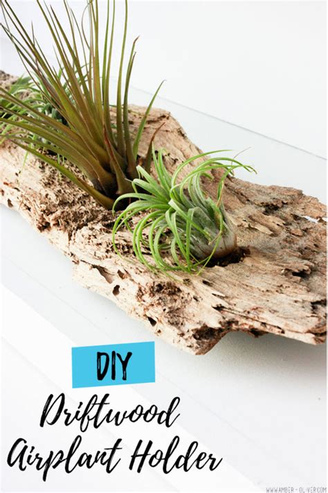 Small Air Plant Holder - Etsy - muktibox.com