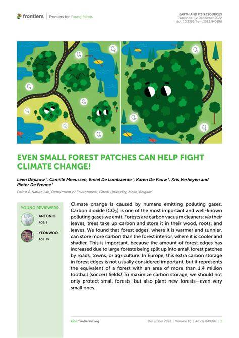 Small but precious: small forest patches act as islands … - raincitystudios.com