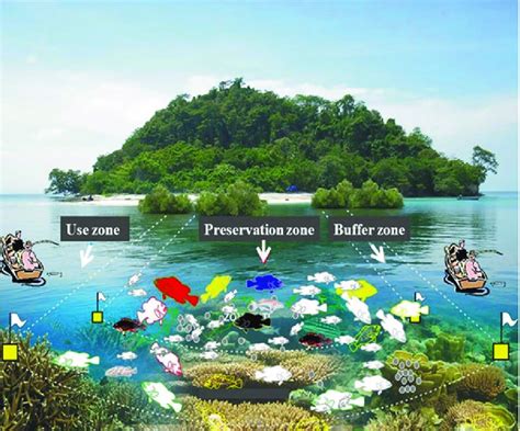 Small Coastal Island Ecosystems and Conservation ... - Springer - balustradellc