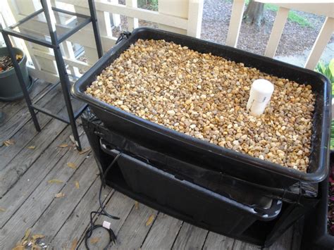 Small DIY Aquaponics System : 7 Steps (with Pictures) - balustradellc