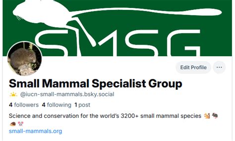 Small Mammals SG – Small Mammals Specialist Group - raincitystudios.com