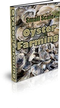 Small Scale Oyster Farming | How To Oyster Farm - balustradellc