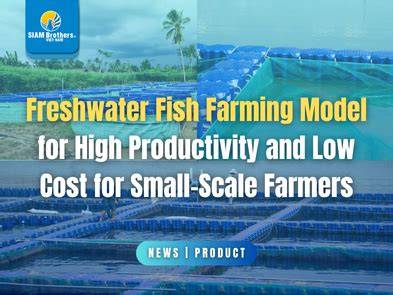 Small-scale freshwater fish farming - Panda - raincitystudios.com