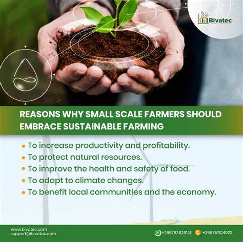 Smallholder Teak Systems | Farmer Innovations and Best Practices by ... - raincitystudios.com