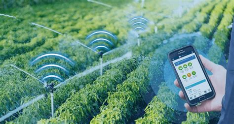 Smart Irrigation Systems & Automatic Irrigation … - coolestguyplanet.net