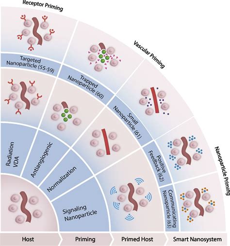 Smart nanosystems for disease-resistant potatoes: a new Frontier in ... - wintechmobiles.com