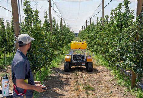 Smart orchards - New Zealand Apples & Pears - raincitystudios.com