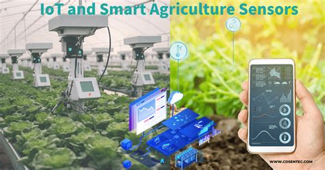 Smart Sensing for Agriculture: Applications, Advancements, and ... - balustradellc