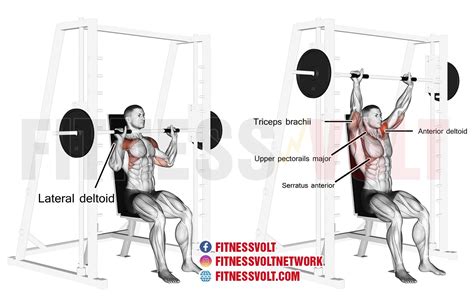 Smith machine seated overhead press exercise … - balustradellc