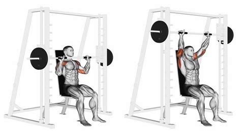 Smith Machine Shoulder Press Video Exercise Guide - balustradellc