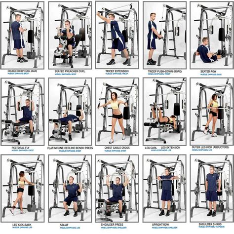 Smith Machine Workouts: Ultimate Guide - The Barbell - balustradellc