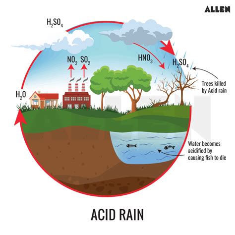 Smog and Acid Rain - ChemTalk - muktibox.com