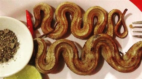 Snake Meat Recipe - Chef's Resource Recipes - balustradellc