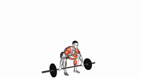 Snatch Exercise Guide: Muscles Worked, How-To, … - balustradellc