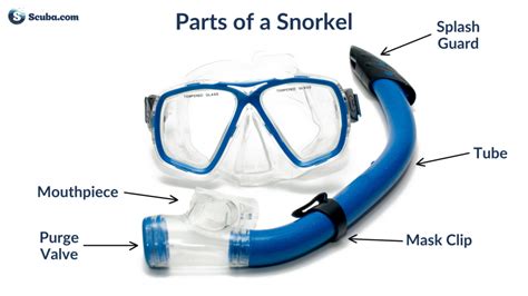 Snorkel - Jual Beli Mobil Baru & Bekas Terlengkap | OLX Indonesia - raincitystudios.com