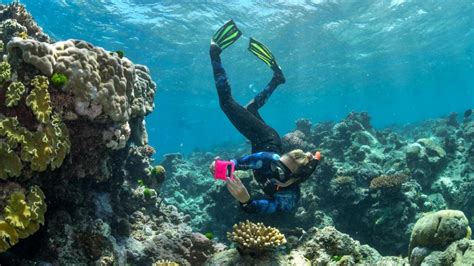 Snorkeling in Southeast Asia | The best snorkeling … - balustradellc