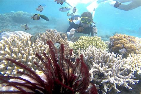 Snorkeling Murah di Bangsring Underwater - Meet the … - raincitystudios.com