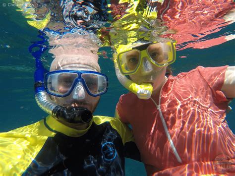 Snorkelling Gear for Beginners (updated 2024) - Crazy Fun Outdoor ... - balustradellc
