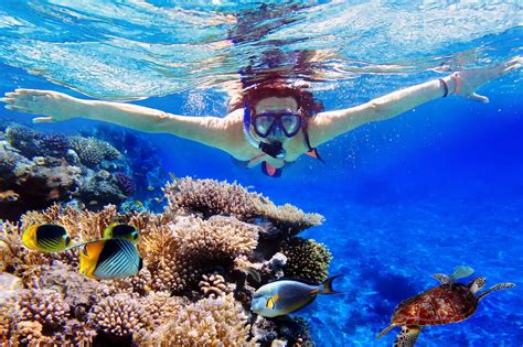 Snorkelling in Indonesia - Selective Asia - balustradellc