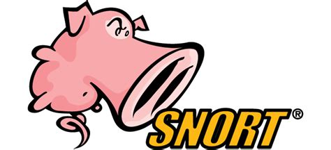 Snort - Network Intrusion Detection & Prevention System - coolestguyplanet.net
