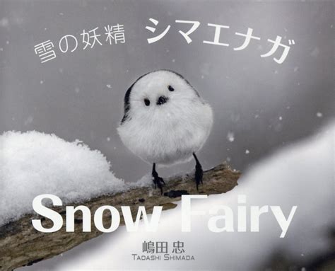 SNOW FAIRY 雪 の 妖精