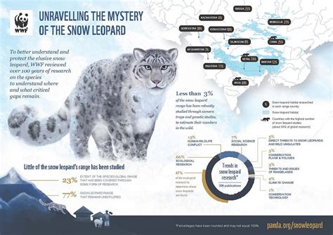 Snow Leopard Habitat Loss In Himalayas - muktibox.com