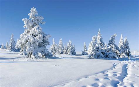 Snow Photography: 14 Tips for Taking Pictures in Snow - balustradellc