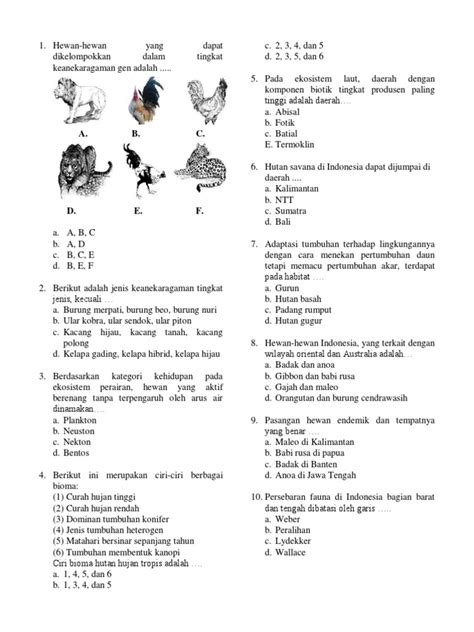 Soal Keanekaragaman Hayati Kelas 10 | PDF - Scribd - raincitystudios.com