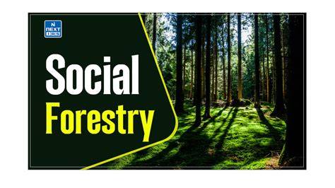 Social Forestry - Forest Watch Indonesia - raincitystudios.com