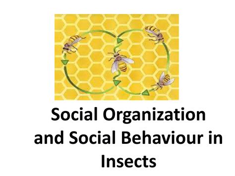 Social Organization and social behaviour of Insects - muktibox.com