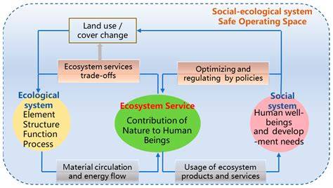 Social-Ecological Systems for Community Conservation - raincitystudios.com