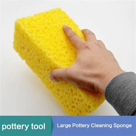 Soft, porous artist's tool from undersea - CodyCross - raincitystudios.com