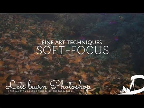 Soft Focus Photography: Essential Guide - Filmmaking … - balustradellc